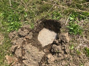 ヒノキ苗木１００穴に水入れ